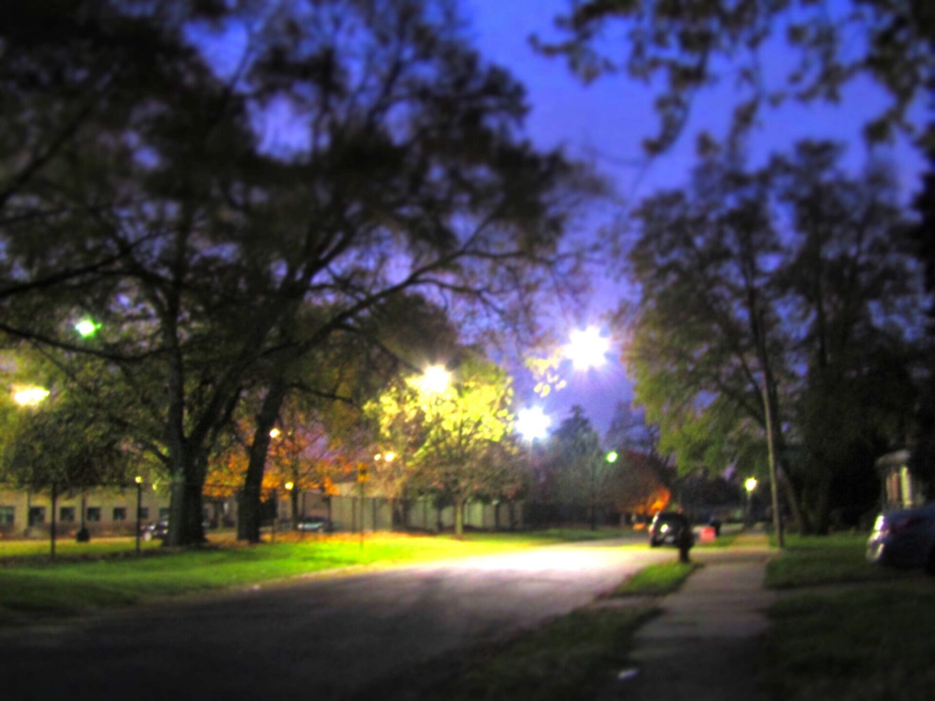 a street with trees and lights at night