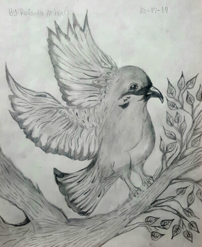 a drawing of a bird on a branch