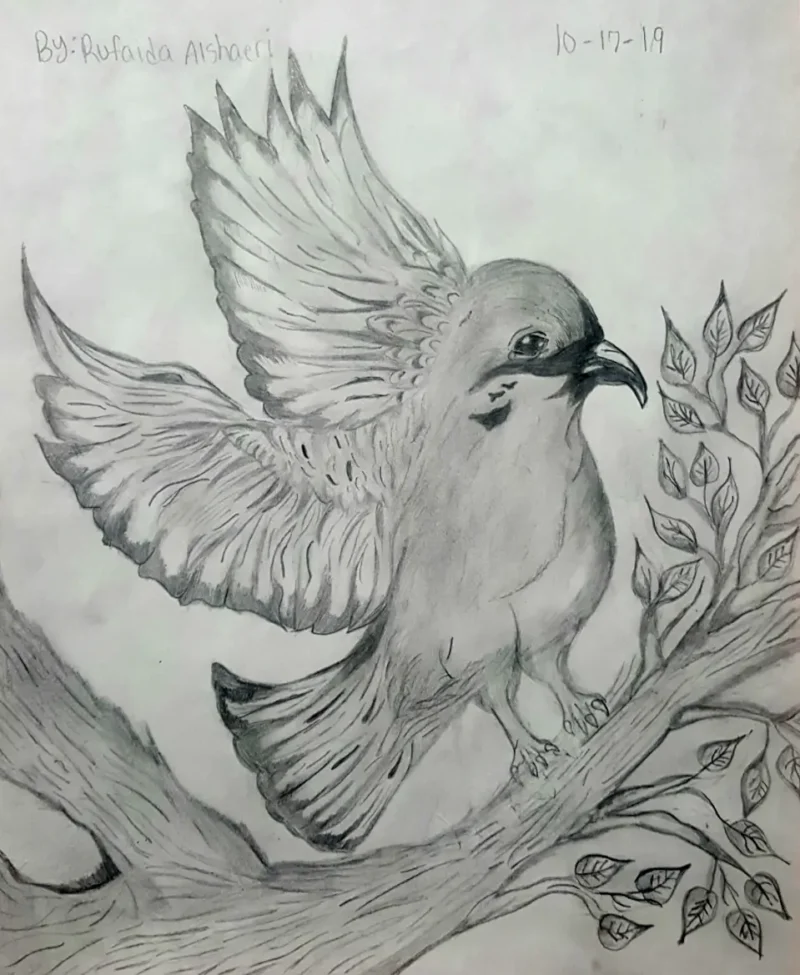 a drawing of a bird on a branch